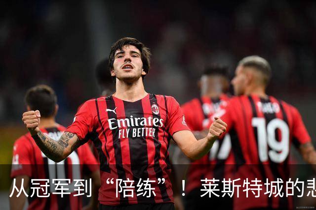 从冠军到“陪练”！莱斯特城的悲情转身
