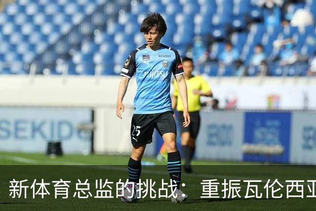 新体育总监的挑战：重振瓦伦西亚的勇气与智慧